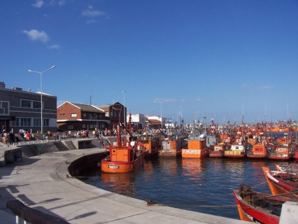 Un paseo por el Puerto de Mar del Plata