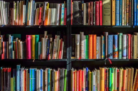 "El Gran Pez" ganó el Premio a la Librería del Año
